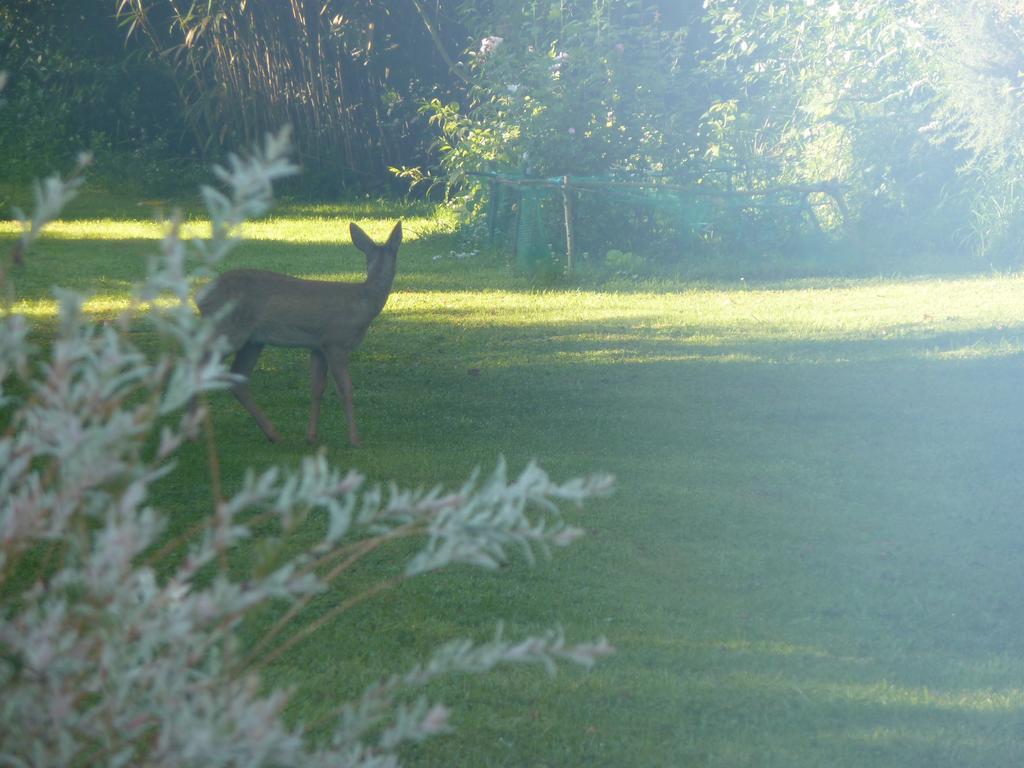 La Belle Relax - Calme Et Tranquillite Assures - 2 Personnes Bed and Breakfast Moëlan-sur-Mer Buitenkant foto