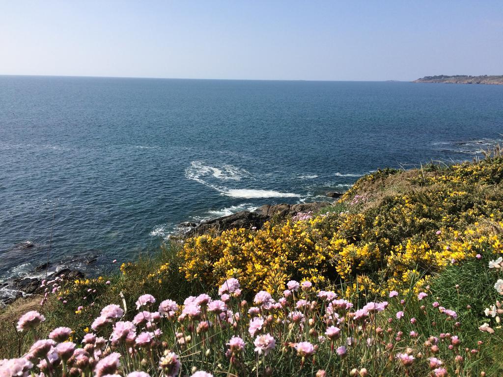La Belle Relax - Calme Et Tranquillite Assures - 2 Personnes Bed and Breakfast Moëlan-sur-Mer Buitenkant foto